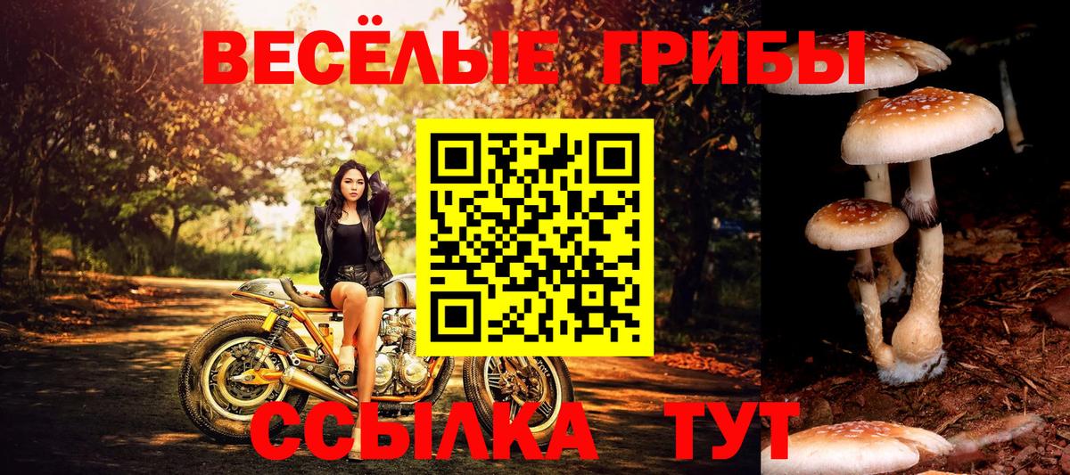 Галлюциногенные грибы мухоморы  Вход с VPN  Новочебоксарск 